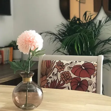 招待所 La Magnifique, Et Pop Et Chic !