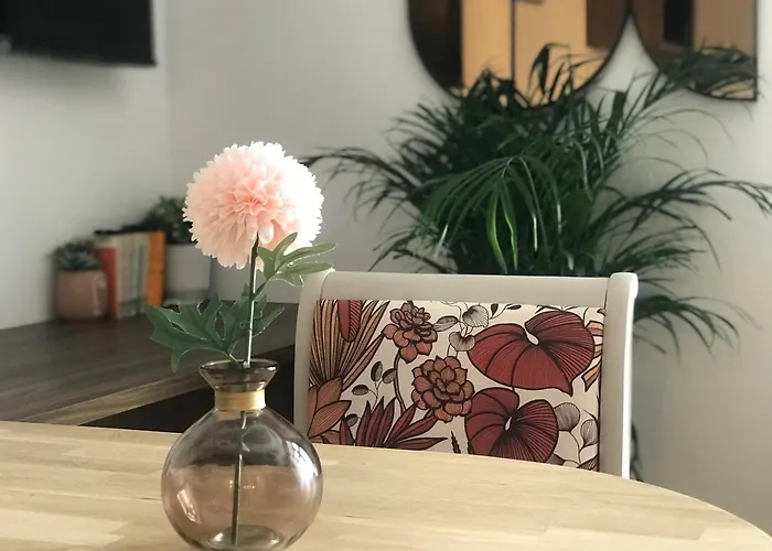 Pensión La Magnifique, Et Pop Et Chic !